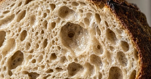 Gros plan sur la mie très alvéolée d'un pain au levain