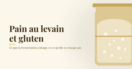 Bocal en verre rempli d'un levain bombé et parcouru de bulles, sur fond crème