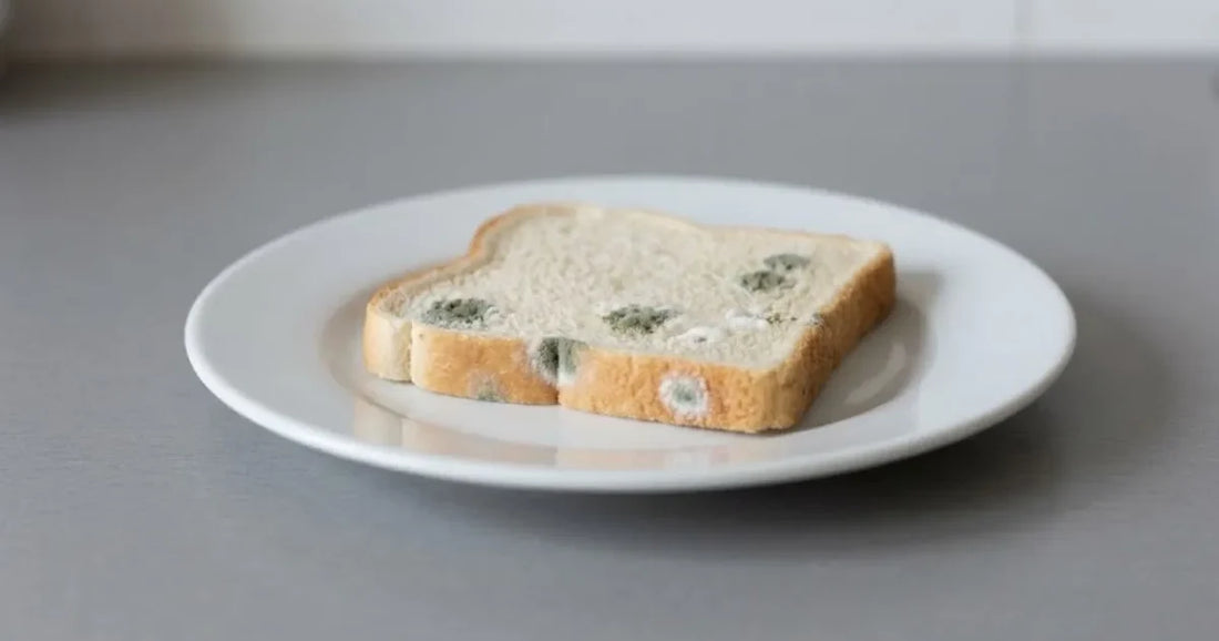 Tranche de pain de mie avec des taches de moisissure verte sur une assiette blanche