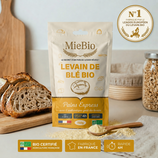 Levain de Blé Bio - Pains Express 4H