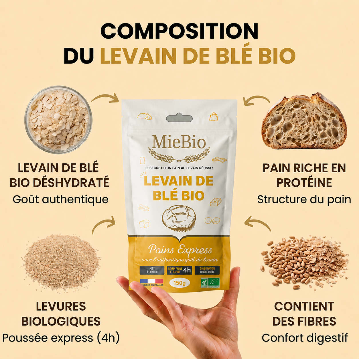 Composition du levain de blé bio MieBio et ses ingrédients naturels