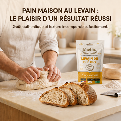 Pain au levain bio maison comparé au pain industriel du commerce