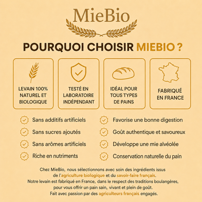 Pourquoi choisir le levain de blé bio MieBio plutôt qu'un levain industriel