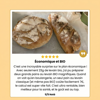 Tranches de pain au levain maison à la croûte dorée et croustillante